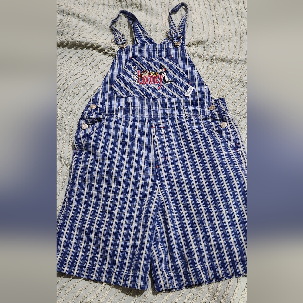 Vintage Warner Bros. Looney Tunes Blue Checkered Overall Shorts